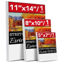 Canvases for Painting with Multi Pack 11x14, 5x7, 8x10, Painting Canvas for Oil and Acrylic Paint