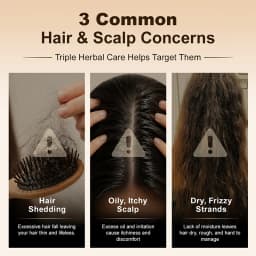 PURC 5-in-1 Ginger Herbal Scalp Care Shampoo Anti Hair Loss Strong Roots Soothe Itchy Scalp Smooth Hair Triple Herbal Formula