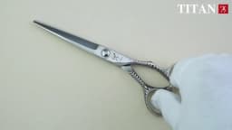 TITAN Professional Barber Scissors Thinning Hair VG10 Steel 6 Inch