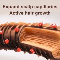 Zhang Guang 101 Ginseng Nourishing Liquid 120mlX2 Chinese Herbal Formula Anti Hair Loss Hair Regrowth Deep Moisturizing