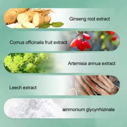 Zhang Guang 101 Ginseng Nourishing Liquid 120mlX2 Chinese Herbal Formula Anti Hair Loss Hair Regrowth Deep Moisturizing