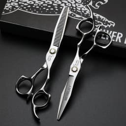 Professional Hairdresser Scissors 6.0 Inch with Roller Bearing Hair Cutting Shears for Stylists