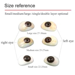 Resin Eye Prosthesis For Disabled Eyes After Removal Of Eyeball Atrophy Using Artificial Eye Prosthesis