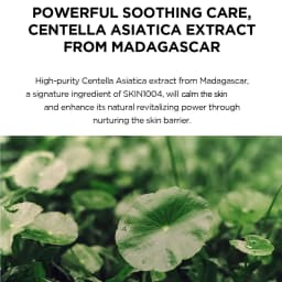 SKIN1004 Madagascar Centella Hyalu-Cica Water-Fit Sun Serum SPF50+ PA++++,Gentle,Outdoor High Protection,K-Beauty,Korean Makeup