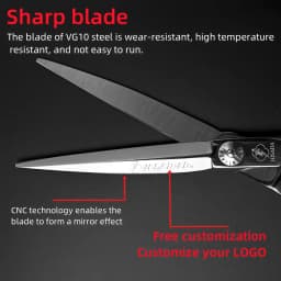 HISADA Hairdressing Scissors Black Suit 6.0 6.5 7.0 Advanced Black Coating Scissors, VG10 Steel Professional Hairdressing Scisso