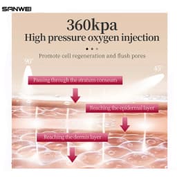 Wholesale Salmon DNA PDRN Face Serum AOxygen Spray Der.pen Kit Jet peeling Beauty Salon Korean Skin Care 5 10 Bottles Seti
