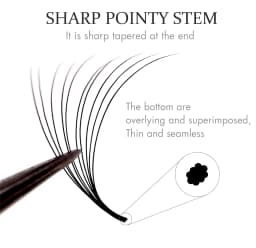 CMICC 40Line 3D 1600 Fans XXL Tray PBT Hybrid Pro Made Volume Eyelash Fan Sharp Pointy Stem Thin Root Premade Fan Lash Extension