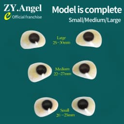 Polymer Artificial Eye Tablets For Eyeball Atrophy, Removal Of Damaged Disabled People And Use Of Single-layer Artificial Eyes