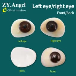 Polymer Artificial Eye Tablets For Eyeball Atrophy, Removal Of Damaged Disabled People And Use Of Single-layer Artificial Eyes