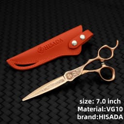 HISADA Hairdressing Scissors 6.0 Inch VG10 Steel Grade Scissors Pattern Professional Hair Salon Top Professional Scissor