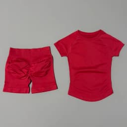 2 Pieces HISTELLO Sports Set Seamless Short Sleeve Low Rise Ribbed Shorts Soft Elastic Pilates Running Fitness Yoga Active Sets