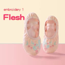 Girls Embroidered Ballet Shoes women Soft Dance Shoes for Training Performance Non-Slip Ballerina Shoes Professional Dance Flats
