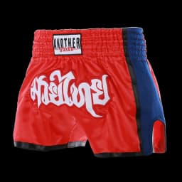 MMA Shorts for Kids & Adults, Muay Thai Shorts Boxing, Embroidered, Martial Arts Clothing for Muay Thai and Taekwondo Training
