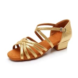 Girls Dance Shoes for Ladies Latin Ballroom Kids/kids Tango Salsa Latin Dance Shoes Low Heel Salsa Training Shoes