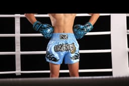 ANOTHERBOXER Muay Thai Shorts, Embroidered MMA Fighting Clothing for Men, Women, Kids, Cheap Boxing Training Short Pants