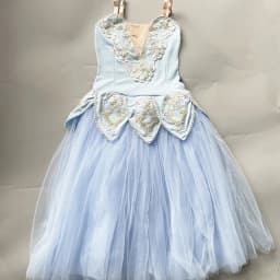 Children's Ballet Dress Performance Tulle Skirt Puffy Dress Multi-Colored Performance Outfit Competition Gauze Skirt Ballet Leo