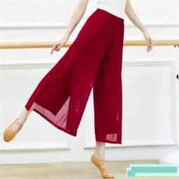 Modern Dance Pants For Women Mesh Nylon Loose Wide Leg Dancing Trousers Chinese Classical Dance Daily Ladies Yoga Pants