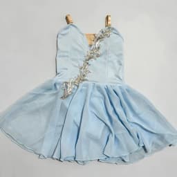 Ballet TUTU Large Skirt Long Skirt Adult and Children Magic Charm Banquet Cupid Performance Costume for Girls