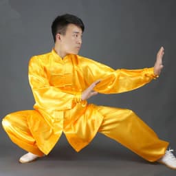 USHINE Chinese Traditional Tai Chi Kung Fu Uniforms Kids Adult Satin Dance Costumes Morning Gymnastics Wushu Suit