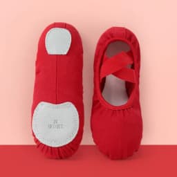 Girls Canvas Ballet Shoes Women Professional Dance Flat Soft Soled Ballerina Shoes Non-slip Dance Shoe for Practice Performance