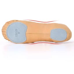Girls Canvas Ballet Shoes Women Professional Dance Flat Soft Soled Ballerina Shoes Non-slip Dance Shoe for Practice Performance