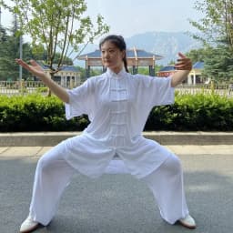 Summer Cotton Tai Chi Uniform Wing Chun Martial Arts Suits Yoga Meditation Sets 6 Colors Wushu Kung Fu Training Jacket and Pants