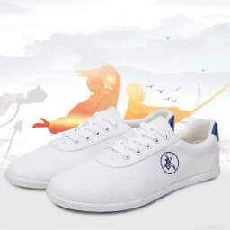 Canvas Kung Fu Shoes Martial Arts Tai Chi Taekwondo Wu Shu Karate Sport Shoes Sneakers Adult Shoes Large Size