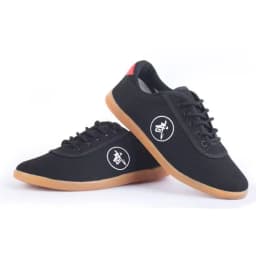 Canvas Kung Fu Shoes Martial Arts Tai Chi Taekwondo Wu Shu Karate Sport Shoes Sneakers Adult Shoes Large Size