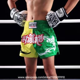 Embroidery Muay Thai Boxing Shorts Satin Elastic Waist Fight Trunks for Men Women Kids Kickboxing Martial Arts Training Sparring