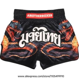 Muay Thai Shorts Men Women Youth Satin Boxing Trunks with Fire Snake Print Thai Letter Embroidery Elastic Waist Kickboxing Pants