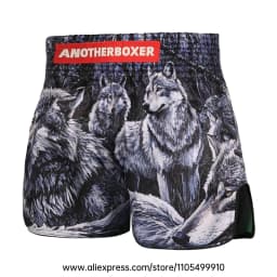 Muay Thai Shorts Men Women Youth Satin Boxing Trunks with Fire Snake Print Thai Letter Embroidery Elastic Waist Kickboxing Pants