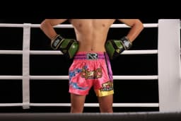 Muay Thai Pants Gladiator Thai Boxing Shorts Women Men Child Gym Training Kickboxing Fight Shorts Bow Gym Wrestling MMA Shorts