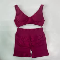 2 Pieces Seamless Yoga Set Women Scoop Backless Sports Bra V Neck Top Scrunch Shorts Yoga Suit Outfits Gym Clothes Workout Sets