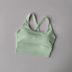 Seamless Sports Bra Collection Breast High-intensity Professional Shock-proof Huddle Running Bra Yoga Fitness Bra Summer Cloth