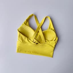 Seamless Sports Bra Collection Breast High-intensity Professional Shock-proof Huddle Running Bra Yoga Fitness Bra Summer Cloth