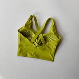Seamless Sports Bra Collection Breast High-intensity Professional Shock-proof Huddle Running Bra Yoga Fitness Bra Summer Cloth