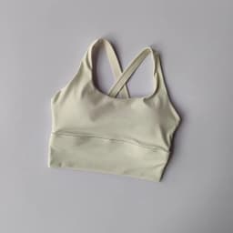 Seamless Sports Bra Collection Breast High-intensity Professional Shock-proof Huddle Running Bra Yoga Fitness Bra Summer Cloth