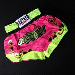 Muay Thai Pants Embroidery Boxing Shorts Women Men Satin Fight Kickboxing Training Trunks Kids Boy Girl Martial Arts MMA Clothes