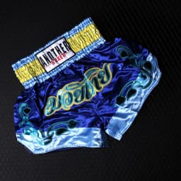 Muay Thai Pants Embroidery Boxing Shorts Women Men Satin Fight Kickboxing Training Trunks Kids Boy Girl Martial Arts MMA Clothes