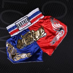 Muay Thai Pants Embroidery Boxing Shorts Women Men Satin Fight Kickboxing Training Trunks Kids Boy Girl Martial Arts MMA Clothes