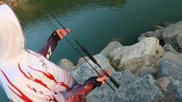 ZZ64 1.68m 1.8m 2.1m 2.4m SEE POWER 562ML 602ML 602M 702ML 702M 802ML 802M Fast Spinning Lure Fishing Rod Carbonfiber Bait 4-20g