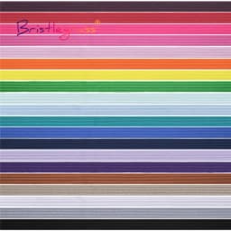 BRISTLEGRASS 2 5 10 Yard 3/8" 9mm Flat Skinny Elastic Cord Latex Rubber String Spandex Band Face Cover Earloop Dress Sewing Trim
