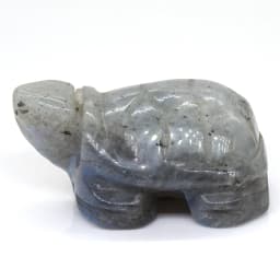 1.5" Tortoise Statue Natural Gemstone Carving Healing Crystal Animals Figurines Reiki Stones Decoration Wholesale