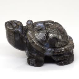 1.5" Tortoise Statue Natural Gemstone Carving Healing Crystal Animals Figurines Reiki Stones Decoration Wholesale
