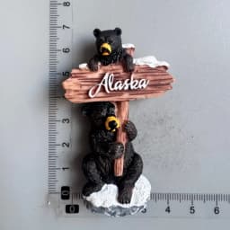 USA Fridge Magnet Boston Tourist Souvenirs Baseball Gloves Alaska Hawaii Seattle Yellow stone Collection Gifts Home Decoration