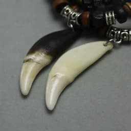 Men's Charm Choker Wolf Tooth Pendant Genuine Leather Alloy Necklace Retro Ethnic Style