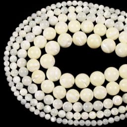 Natural Sea Shell White Horseshoe Snail Loose Spacer Beads For Jewelry Making DIY Bracelet Necklace Handmade 4/6/8/10/12mm