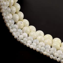 Natural Sea Shell White Horseshoe Snail Loose Spacer Beads For Jewelry Making DIY Bracelet Necklace Handmade 4/6/8/10/12mm