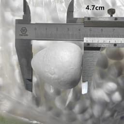 1/1.5/2/2.5/3/4/4.5/5cm Water Drop Modeling Shaped Styrofoam Crafts Flower Heart DIY Handmade White Foam Rose Buds Half Balls