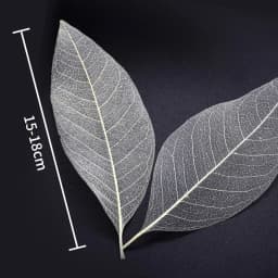 YOMDID 50Pcs /bag White Color Natural Skeleton Leaf Dry Leaves Scrapbooking Girl Diy Material for Christmas Home Decorative